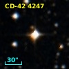 CD-42  4247