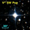 V* SW Pup