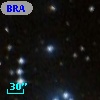 BRAN 141B