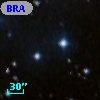 BRAN 141C