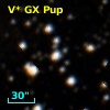 V* GX Pup