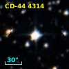 CD-44  4314