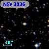 NSV  3936