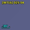 C* 1101