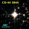 CD-44  3844