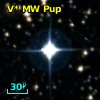 V* MW Pup