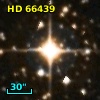 HD  66439