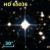 HD  65036