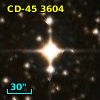 CD-45  3604
