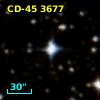 CD-45  3677