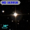HD 169950