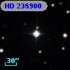 HD 238900