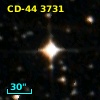 CD-44  3731