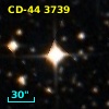 CD-44  3739