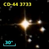 CD-44  3733