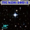 TYC 8134-1443-1