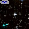 TYC 8135-1338-1