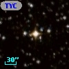 TYC 8135-3132-1