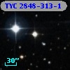 TYC 2848-313-1
