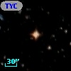 TYC 8134-2950-1