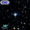 TYC 8124-1302-1