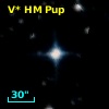V* HM Pup