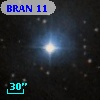BRAN  11