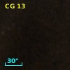 CG 13