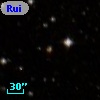 Ruiz 207-49