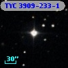 TYC 3909-233-1