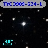 TYC 3909-524-1