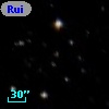 Ruiz 207-31