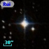 Ruiz 207-84