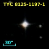 TYC 8125-1197-1