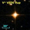 V* V600 Pup