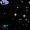 Ruiz 207-85