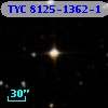 TYC 8125-1362-1