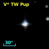 V* TW Pup