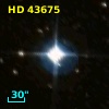 HD  43675
