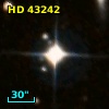HD  43242