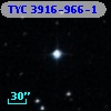 TYC 3916-966-1