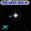 TYC 3917-421-1