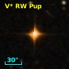 V* RW Pup