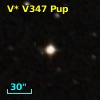 V* V347 Pup