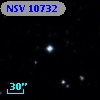 NSV 10732