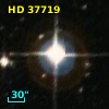 HD  37719