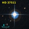 HD  37511