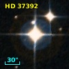 HD  37392