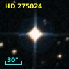 HD 275024