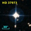 HD  37973